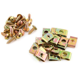 Tornillos y grapas para Carenados M5x15 - 20 Unidades Allpro