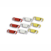 Muelles de embrague Malossi Leonardo 125-150 / Scarabeo 125-150 (Rotax) / Gilera Nexus 250 / Runner 180