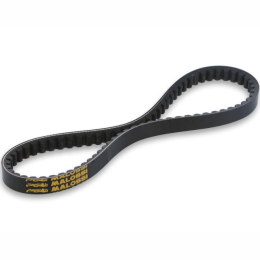 Correia Minarelli horizontal large Malossi X-Kevlar