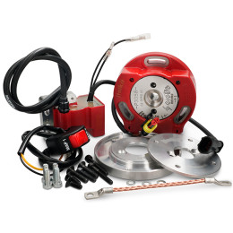 Encendido rotor interior Peugeot 50cc AC Doble Curva Racing Italkit